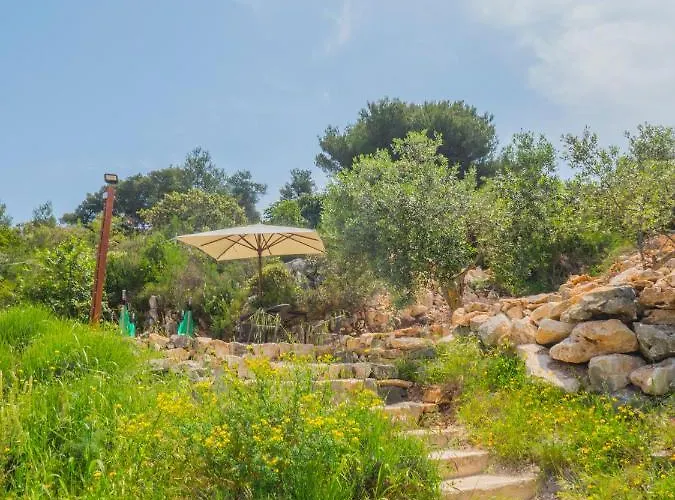 بيت شباب Kapa *